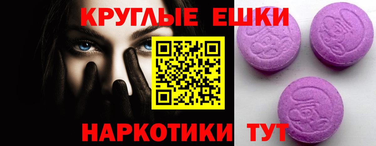 Ecstasy бентли Донской