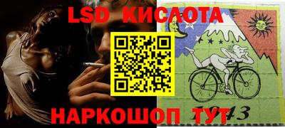 амф Сланцы