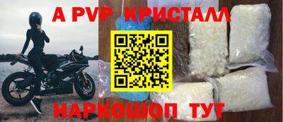 амф Сланцы