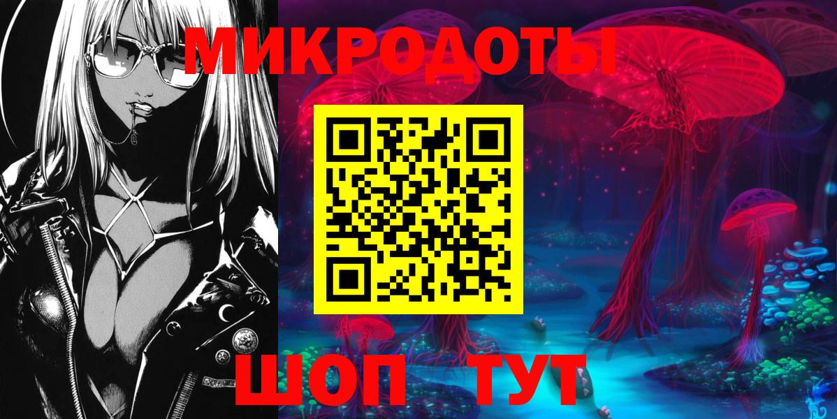Донской  Галлюциногенные грибы Psilocybine cubensis  Вход с VPN  Псилоцибиновые грибы Cubensis 